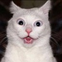 สมาชิกหมายเลข 1291558