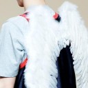 สมาชิกหมายเลข 2555028