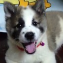 สมาชิกหมายเลข 1320213