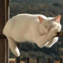 สมาชิกหมายเลข 1749146