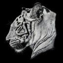 สมาชิกหมายเลข 2162506