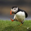 สมาชิกหมายเลข 2162553