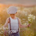 สมาชิกหมายเลข 3408125