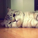 สมาชิกหมายเลข 3408190