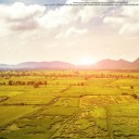 สุดลูกหูลูกตา