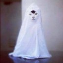 สมาชิกหมายเลข 920468