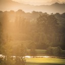 สมาชิกหมายเลข 1333998