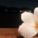 สมาชิกหมายเลข 2163064