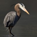 สมาชิกหมายเลข 3376091