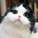 สมาชิกหมายเลข 3405873