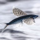 สมาชิกหมายเลข 3408842