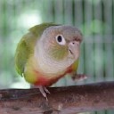 สมาชิกหมายเลข 1205050