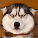 สมาชิกหมายเลข 1764949