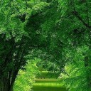 สมาชิกหมายเลข 2538086