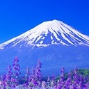 สมาชิกหมายเลข 3409011