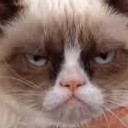 สมาชิกหมายเลข 921247