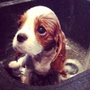 สมาชิกหมายเลข 1750314