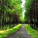 สมาชิกหมายเลข 2160799