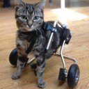 สมาชิกหมายเลข 2163913