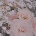 สมาชิกหมายเลข 1525458