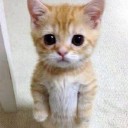 สมาชิกหมายเลข 2557498