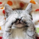 สมาชิกหมายเลข 3409562