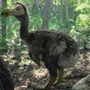 สมาชิกหมายเลข 879536