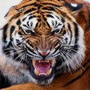 สมาชิกหมายเลข 921675