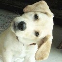 สมาชิกหมายเลข 961487