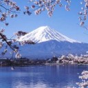 สมาชิกหมายเลข 1891825