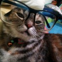 อยากกินเผือก