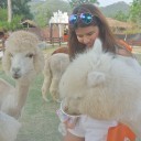 หมวยเกี๊ยว