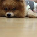 ข้าวปั้นหอม