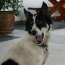 สมาชิกหมายเลข 712115