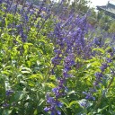 สมาชิกหมายเลข 921114