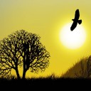 สมาชิกหมายเลข 1322342