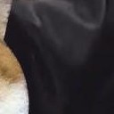 สมาชิกหมายเลข 2459159