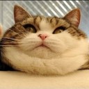 สมาชิกหมายเลข 826275