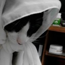 สมาชิกหมายเลข 2319502