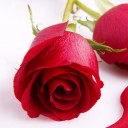 สมาชิกหมายเลข 2542927