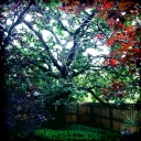 สุขใจ สุขกาย