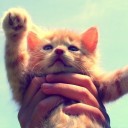 สมาชิกหมายเลข 1014007