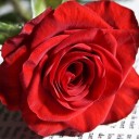 สมาชิกหมายเลข 2165262