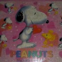 สายลมสีชมพู