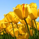 สมาชิกหมายเลข 857151