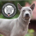 สมาชิกหมายเลข 2090230