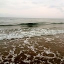 สมาชิกหมายเลข 2156279