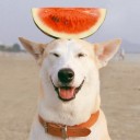 สมาชิกหมายเลข 2497867