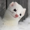 ข้าวไข่เจียวร้อนๆราดซอสพริก