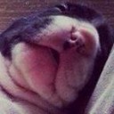 สมาชิกหมายเลข 3412025